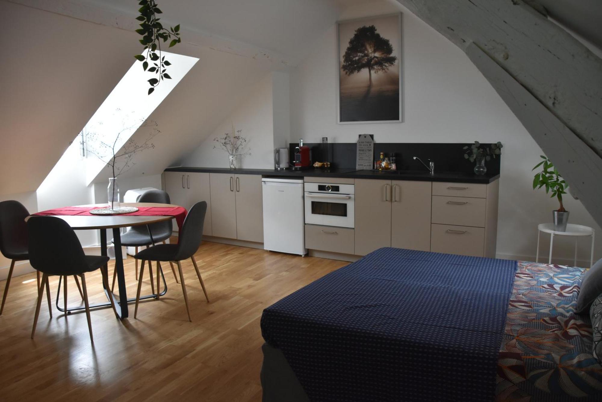 Quietude Au Bord De Loire. Apartment Orleans Ngoại thất bức ảnh