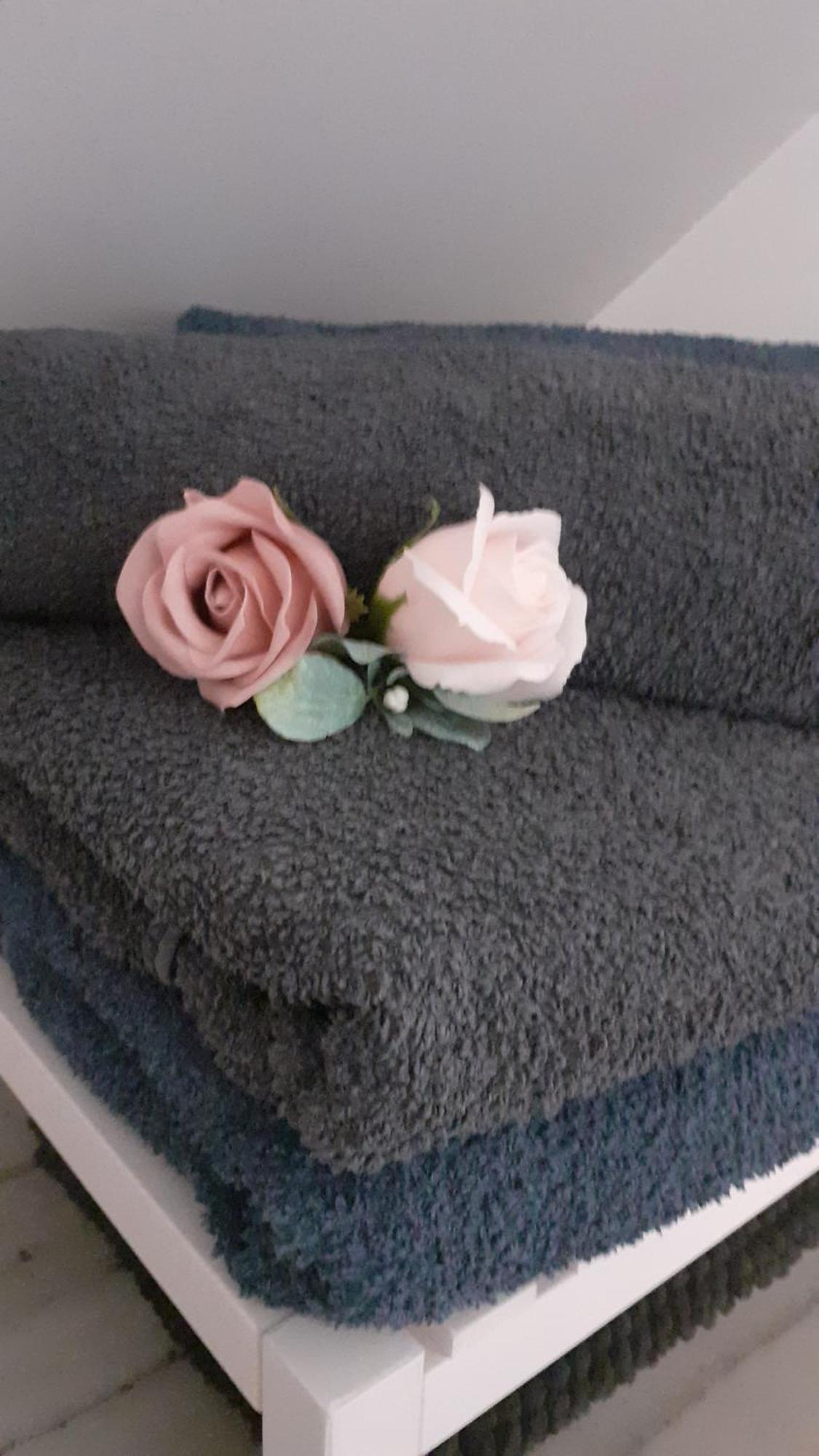 Quietude Au Bord De Loire. Apartment Orleans Ngoại thất bức ảnh
