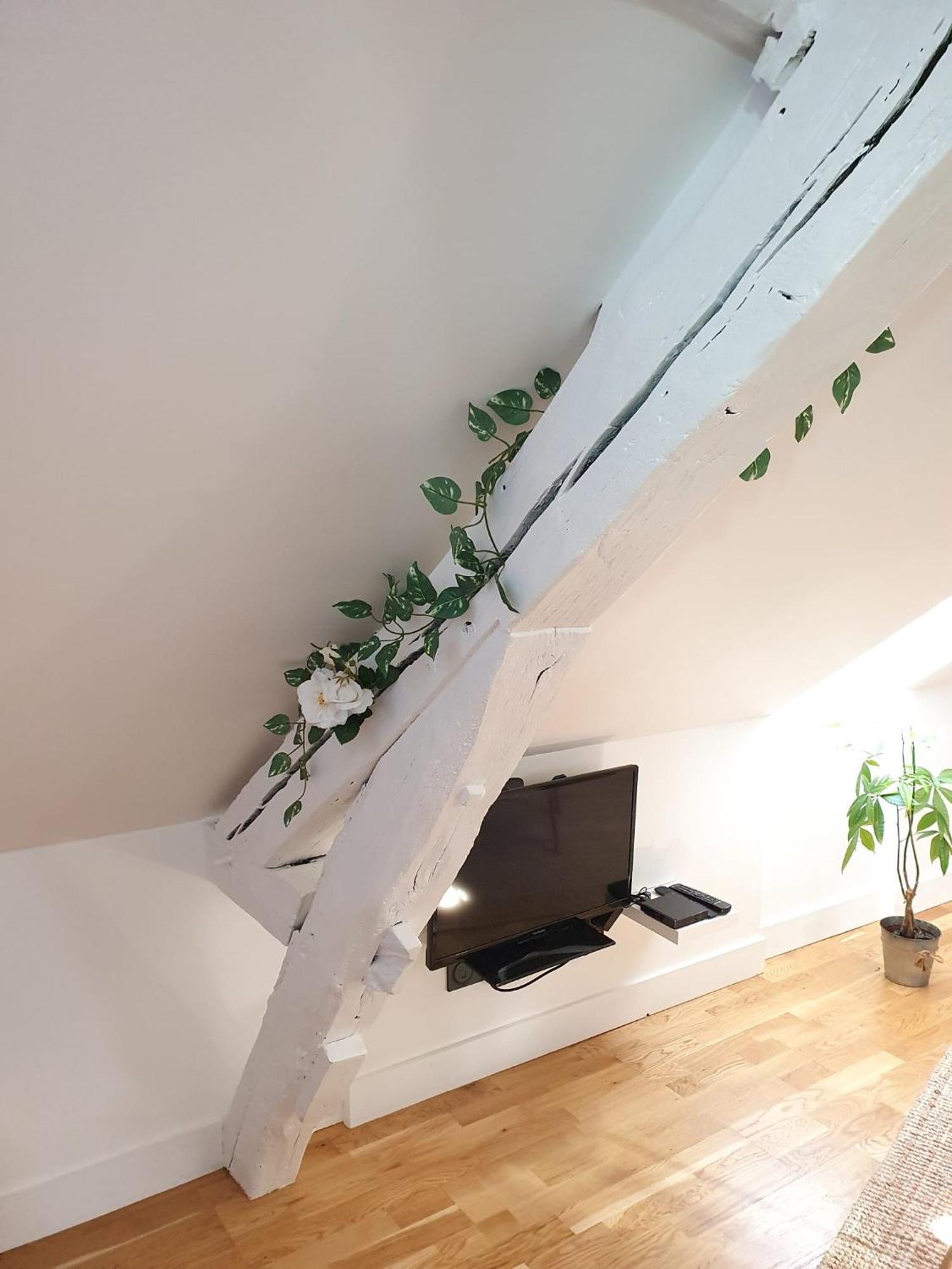 Quietude Au Bord De Loire. Apartment Orleans Ngoại thất bức ảnh