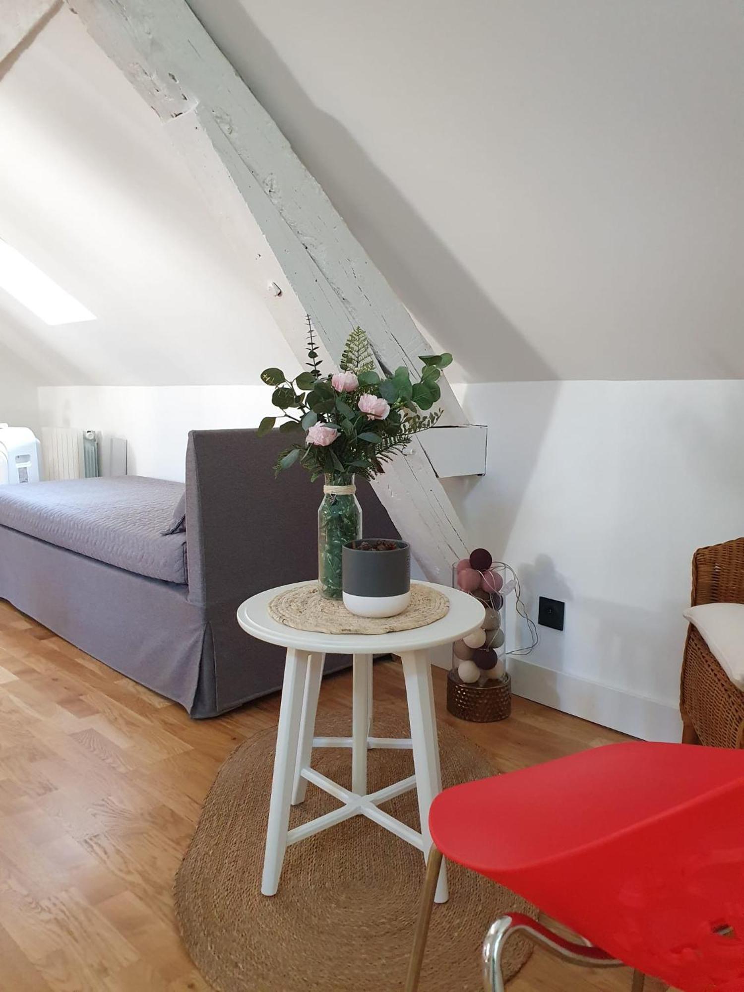 Quietude Au Bord De Loire. Apartment Orleans Ngoại thất bức ảnh